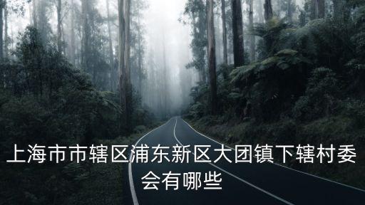 上海市市轄區(qū)浦東新區(qū)大團鎮(zhèn)下轄村委會有哪些