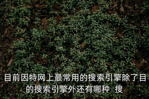目前因特網上最常用的搜索引擎除了目的搜索引擎外還有哪種  搜