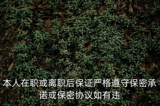 本人在職或離職后保證嚴格遵守保密承諾或保密協議如有違