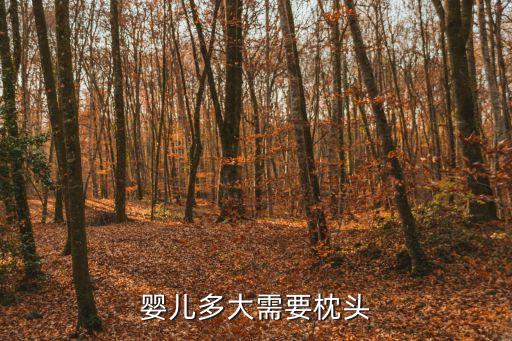 嬰兒多大需要枕頭