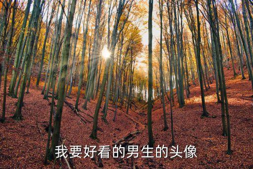 我要好看的男生的頭像