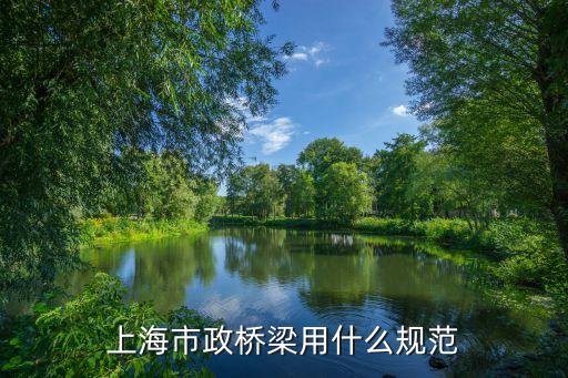 上海市橋梁相關文件，橋梁資料請問誰能告訴我哪兒有上海盧浦大橋的詳細結構設計方