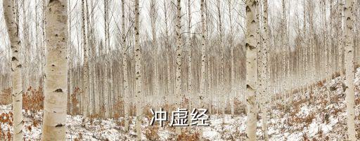 沖虛真經，沖虛經