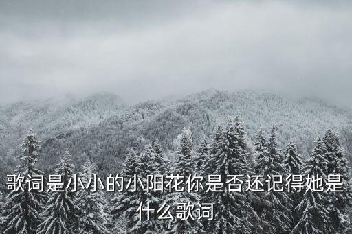 歌詞是小小的小陽花你是否還記得她是什么歌詞
