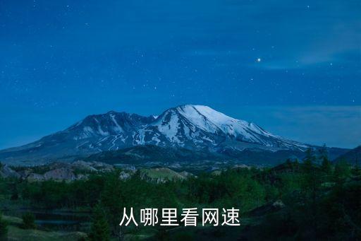 從哪里看網速