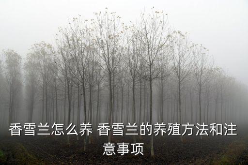 香雪蘭怎么養(yǎng) 香雪蘭的養(yǎng)殖方法和注意事項(xiàng)