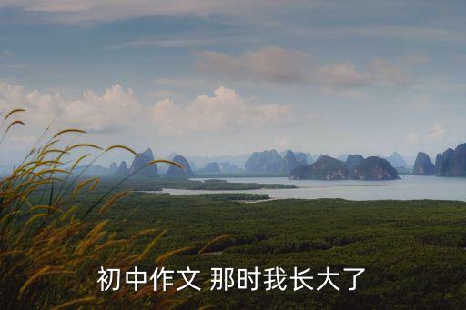 初中作文 那時(shí)我長(zhǎng)大了