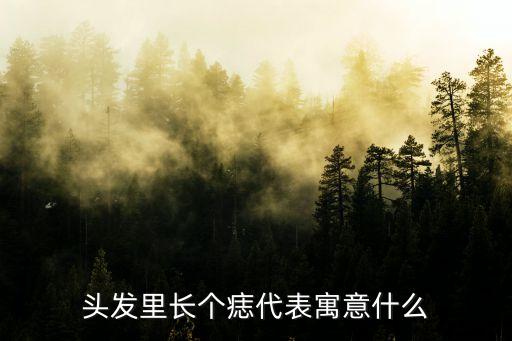 頭發里長個痣代表寓意什么
