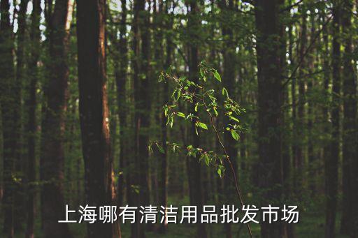 上海哪有清潔用品批發市場