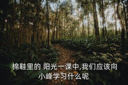  棉鞋里的 陽光一課中,我們應該向小峰學習什么呢