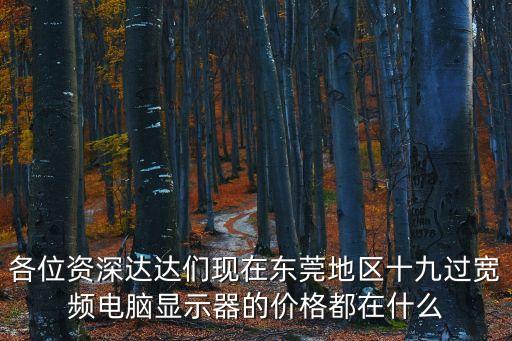 各位資深達達們現在東莞地區十九過寬頻電腦顯示器的價格都在什么