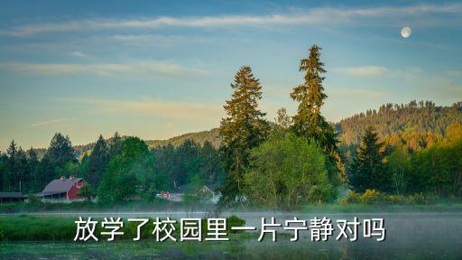 放學(xué)了校園里一片寧靜對嗎