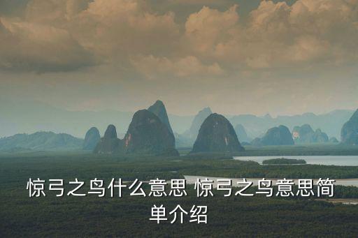  驚弓之鳥什么意思 驚弓之鳥意思簡單介紹