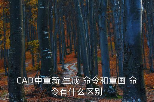 CAD中重新 生成 命令和重畫 命令有什么區別
