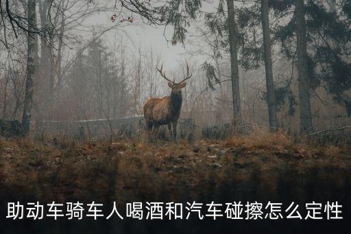 助動車騎車人喝酒和汽車碰擦怎么定性