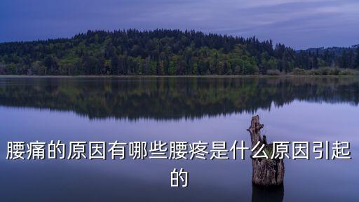 腰痛的原因有哪些腰疼是什么原因引起的