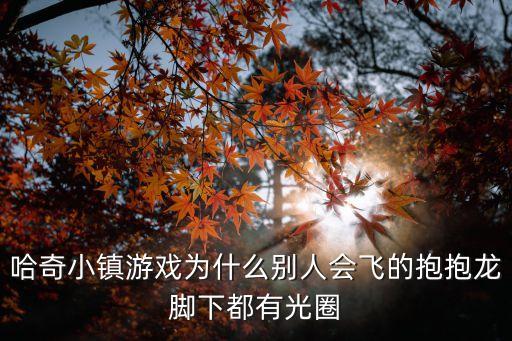 哈奇小鎮游戲為什么別人會飛的抱抱龍腳下都有光圈