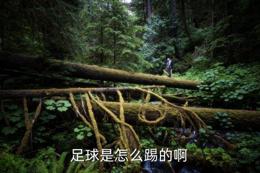 足球是怎么踢的啊