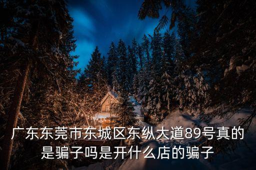 廣東東莞市東城區東縱大道89號真的是騙子嗎是開什么店的騙子