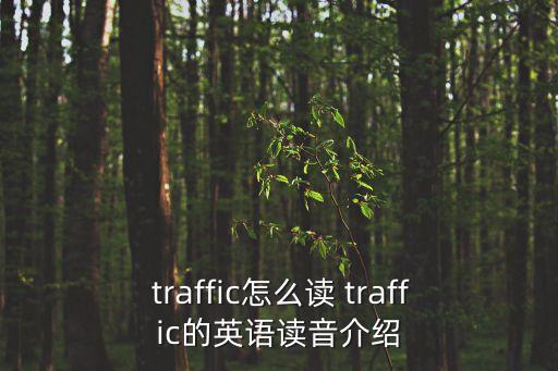 traffic什么意思,一文讀懂!全球各地區(qū)的通信標準