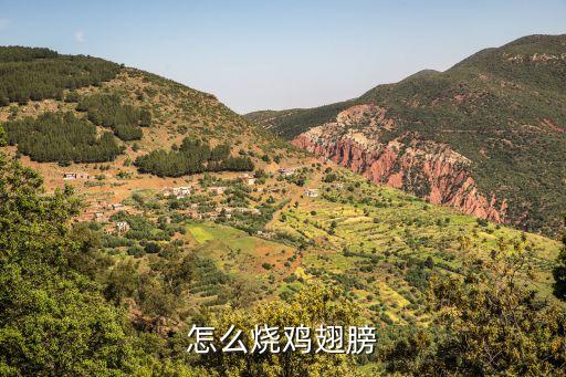 怎么燒雞翅膀