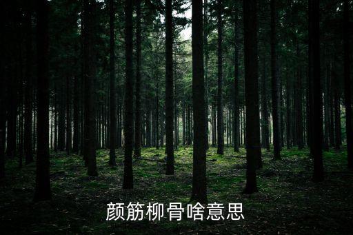 柳骨顏筋，如何理解顏筋柳骨