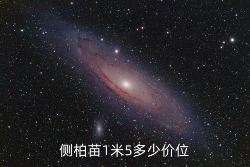側柏苗1米5多少價位