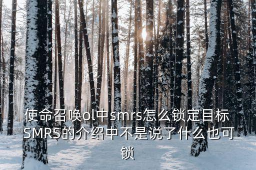 smrs，使命召喚ol中smrs怎么鎖定目標 SMRS的介紹中不是說了什么也可鎖