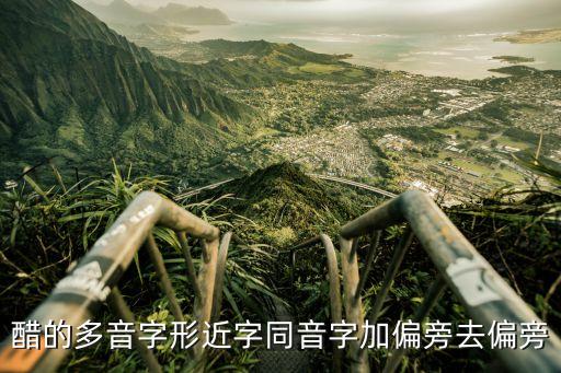 醋的多音字形近字同音字加偏旁去偏旁