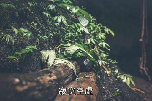 空虛寂寞，空虛寂寞怎么辦