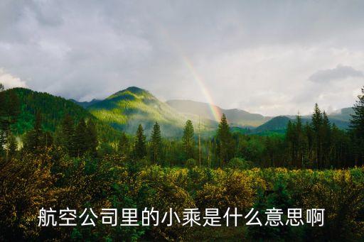 航空公司里的小乘是什么意思啊
