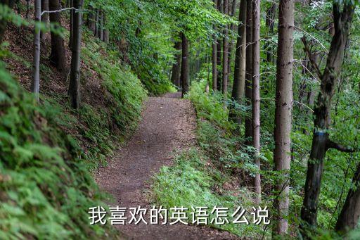 我喜歡的英語怎么說