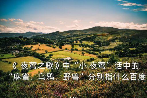 小夜鶯,小夜鶯回答敵人盤問幾句雙關語讓敵人心悅誠服