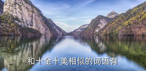 和十全十美相似的詞語有