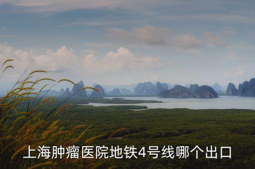 到上海市腫瘤醫(yī)院坐幾號地鐵，松江去上海腫瘤醫(yī)院乘地鐵怎么乘
