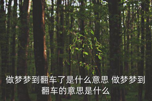 夢到翻車，夢見翻車是什么預兆 msosuoname