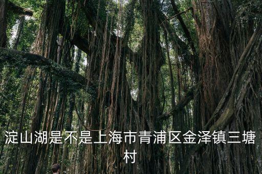金澤鎮屬于上海市嗎，淀山湖是不是上海市青浦區金澤鎮三塘村