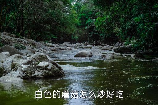 白色的蘑菇怎么炒好吃