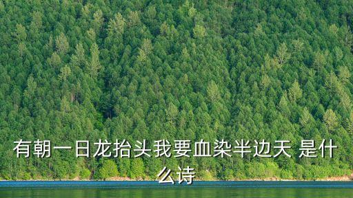 有朝一日龍抬頭我要血染半邊天 是什么詩