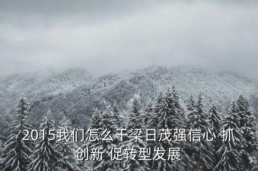 2015我們怎么干梁日茂強信心 抓創新 促轉型發展