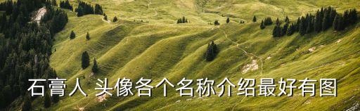  石膏人 頭像各個名稱介紹最好有圖