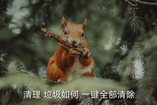  清理 垃圾如何 一鍵全部清除
