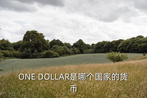 硬幣的英文，ONE DOLLAR是哪個(gè)國(guó)家的貨幣