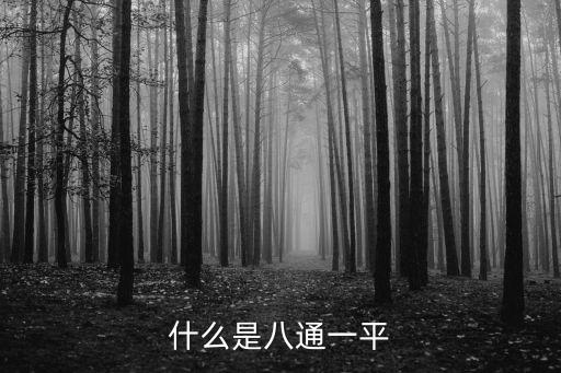八通，橋頭堡戰(zhàn)略有哪八通