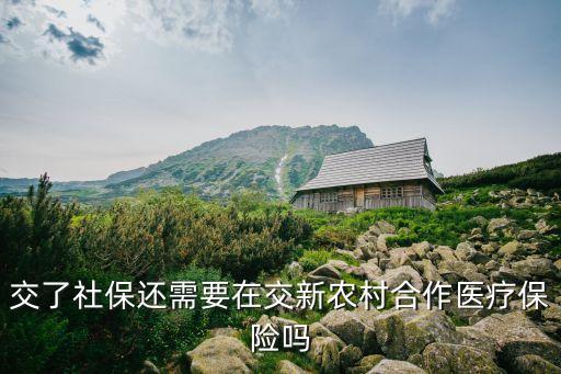 交了社保還需要在交新農村合作醫療保險嗎