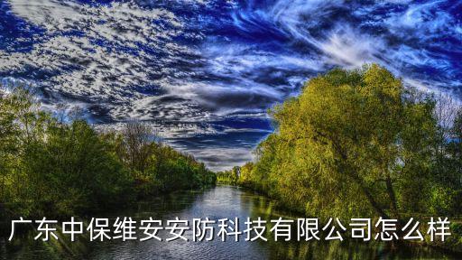 廣東中保維安安防科技有限公司怎么樣