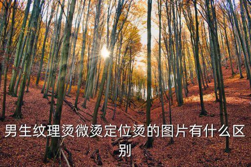 男生紋理燙微燙定位燙的圖片有什么區(qū)別