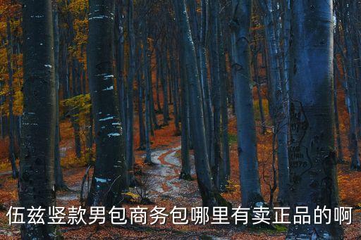 伍茲豎款男包商務(wù)包哪里有賣正品的啊