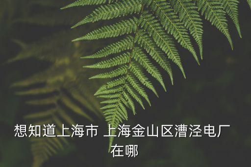 想知道上海市 上海金山區漕涇電廠 在哪