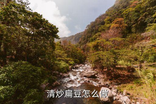 清炒扁豆怎么做